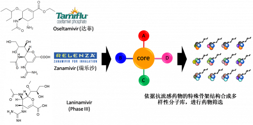 图2：以现有抗流感药物的结构为基础，进行多样性药物分子库的合成。