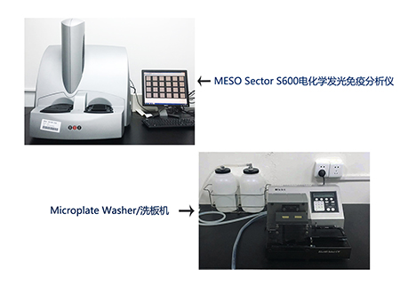 z6尊龙电化学发光免疫分析仪和全自动洗板机