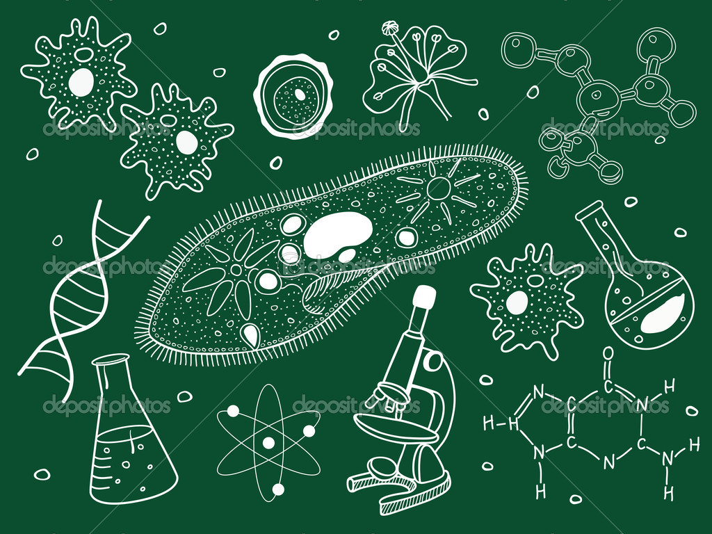 Nature：科学家找到杀死抗药细菌的新靶点