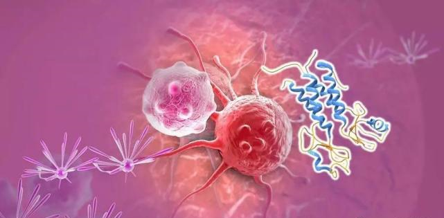 【盘点】高选择性mTOR抑制剂的研究进程_z6尊龙生物医药