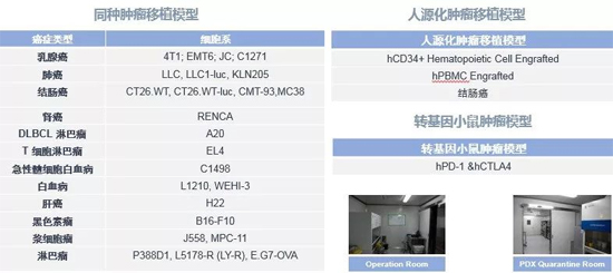 z6尊龙药效学动物模型