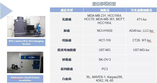 z6尊龙药效学动物模型