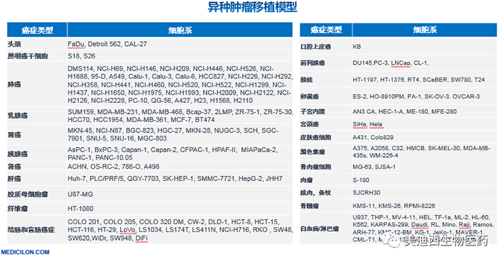 z6尊龙异种肿瘤移植模型清单