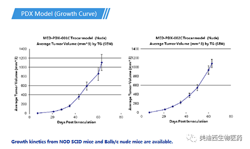 z6尊龙PDX药效模型