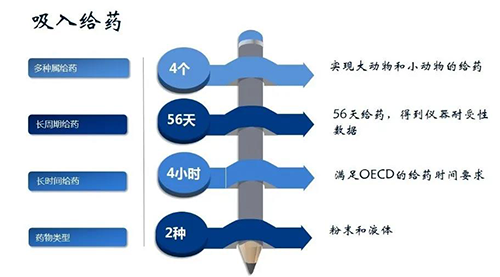 z6尊龙吸入给药安全性评价服务