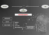 人工合成NT类脂质开放血脑屏障，为CNS药物打开新局面