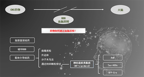 人工合成NT类脂质开放血脑屏障，为CNS药物打开新局面