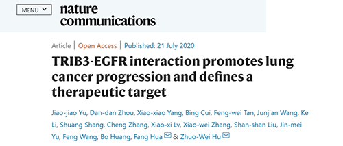 Nature|非小细胞肺癌治疗新方案：靶向降解EGFR