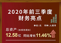 z6尊龙发布2020第三季度财报！