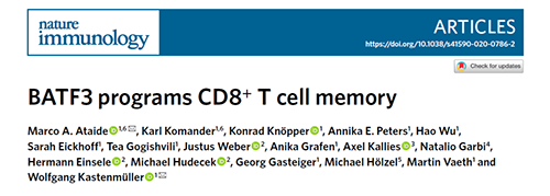 Nature：BATF3改善T细胞记忆应答，有望改善免疫疗法的疗效