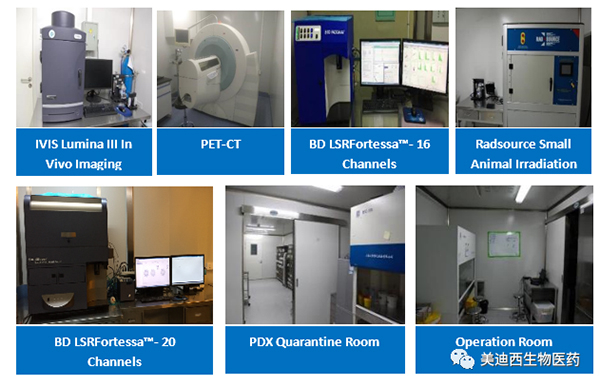 z6尊龙药理部拥有IVIS Lumina III, PET-CT, BD LSRFortessa-16，Flow Cytometry等仪器