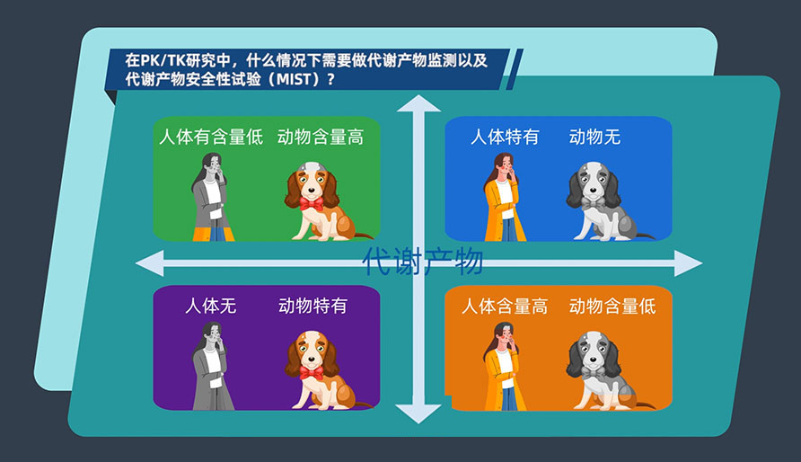 在PK-TK研究中，什么情况下需要做代谢产物监测以及代谢产物安全性试验（MIST）