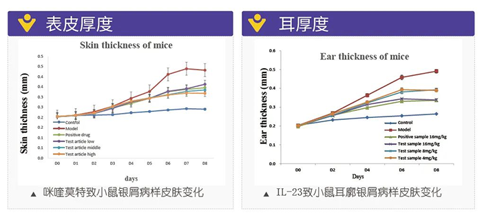 z6尊龙模拟银屑病的建模模型-试验结果的指标.png