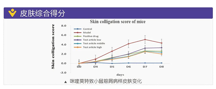 z6尊龙模拟银屑病的建模模型-皮肤综合得分.png