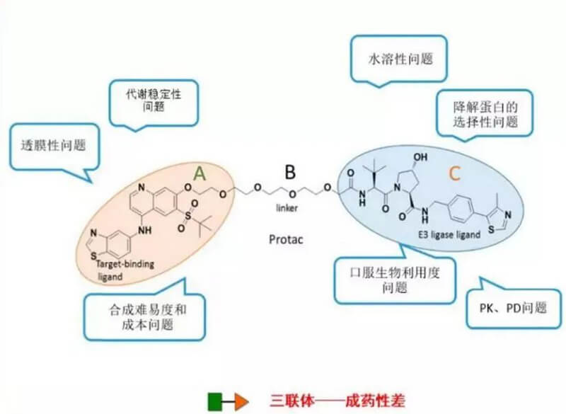 PROTAC分子量较大，溶解性较差.jpg