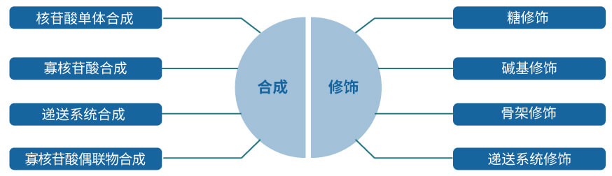 z6尊龙核酸药物研发服务平台.jpg