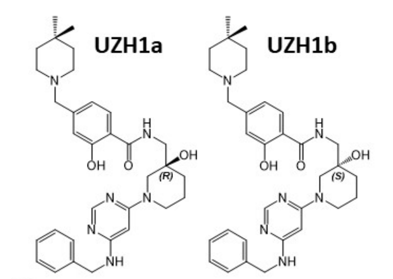 研究人员报告了一种具有细胞渗透性的选择性METTL3纳摩尔抑制剂UZH1a，作者感谢z6尊龙合成了UZH1a和UZH1b