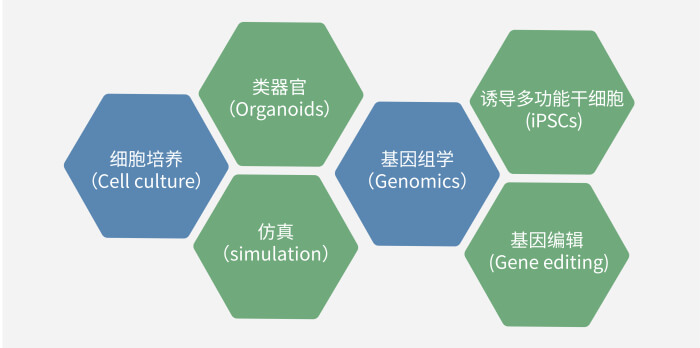 六大技术板块已上线，持续升级中.jpg