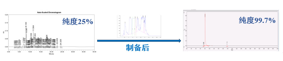 案例一：仿制药发补：大极性杂质制备.jpg