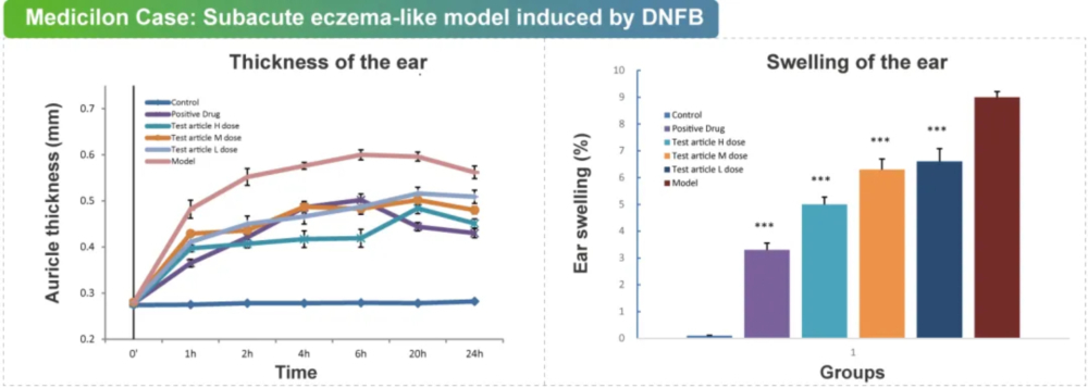 08 DNFB诱导的亚急性湿疹样模型.jpg